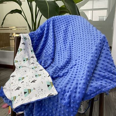 Blue minky dot blanket